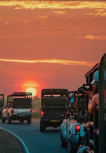 Best Time to Visit Sri Lanka for Every Traveler