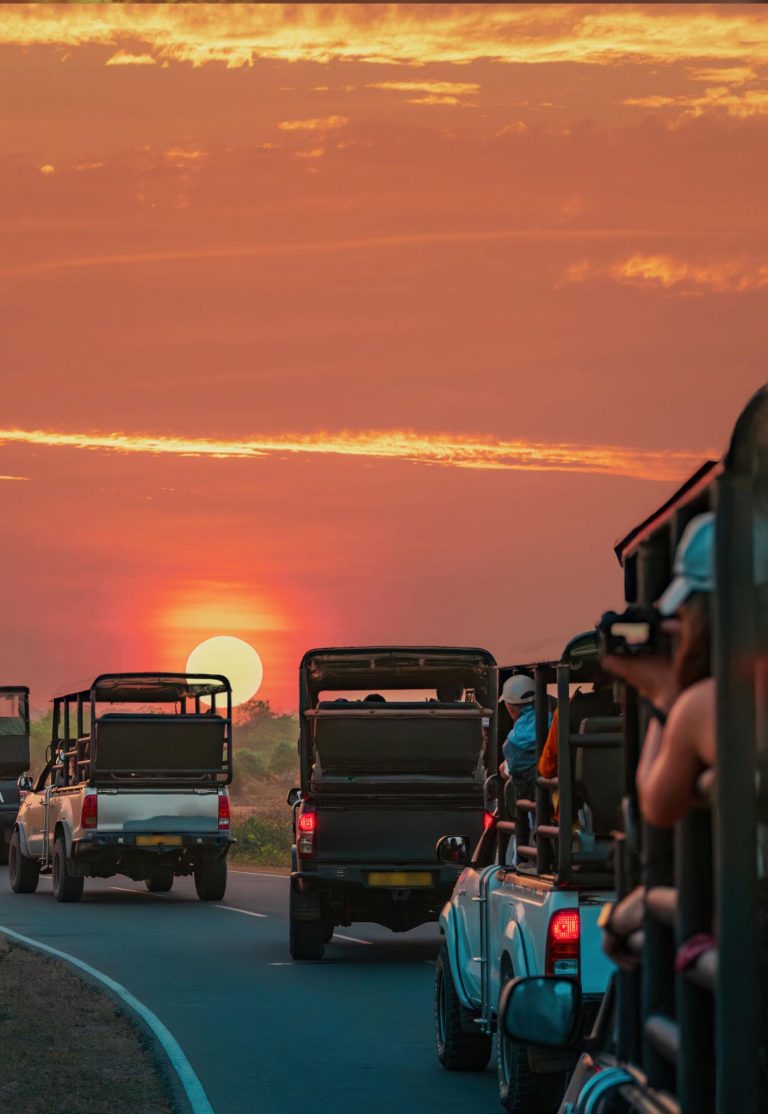 Best Time to Visit Sri Lanka for Every Traveler
