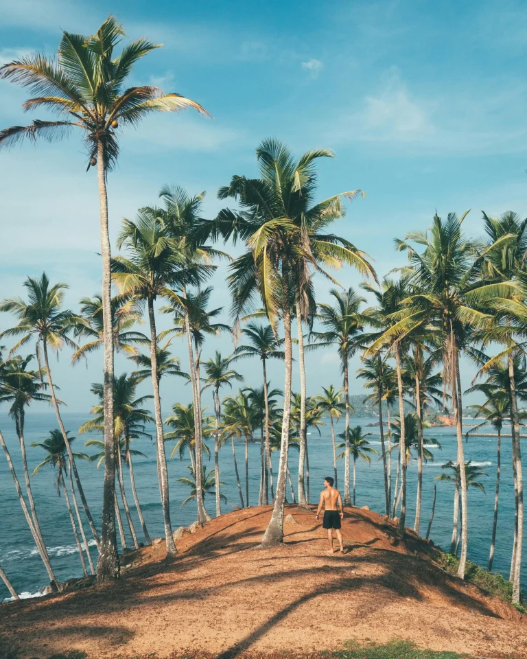 Why Sri Lanka is the Perfect Luxury Travel Destination