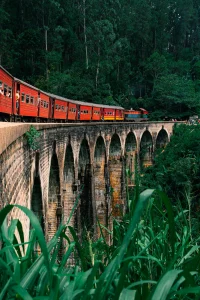 A Complete Guide to the Ella Train Journey